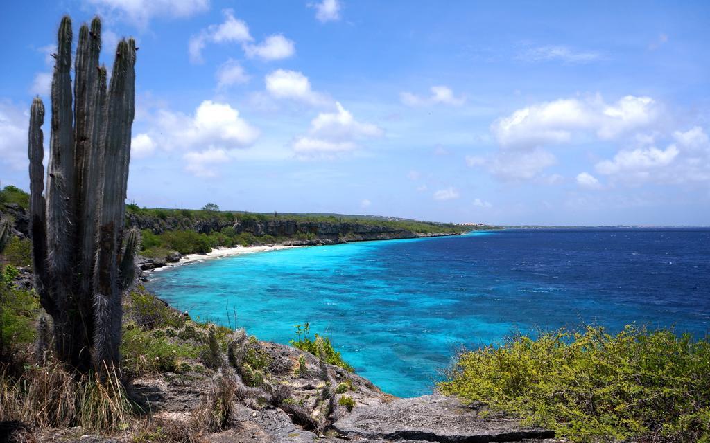 Dormio Bonaire Village Zimmer foto